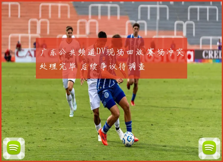广东公共频道DV现场回放 赛场冲突处理完毕 后续争议待调查