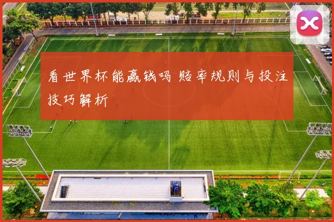 看世界杯能赢钱吗 赔率规则与投注技巧解析