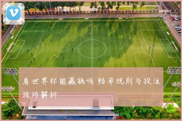 看世界杯能赢钱吗 赔率规则与投注技巧解析